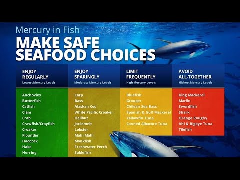 MERCURY IN FISH - MAKE SAFE SEAFOOD CHOICES