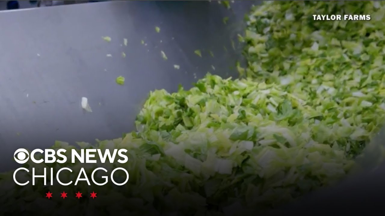 FDA still looking at Taylor Farms as source of cyclospora outbreak