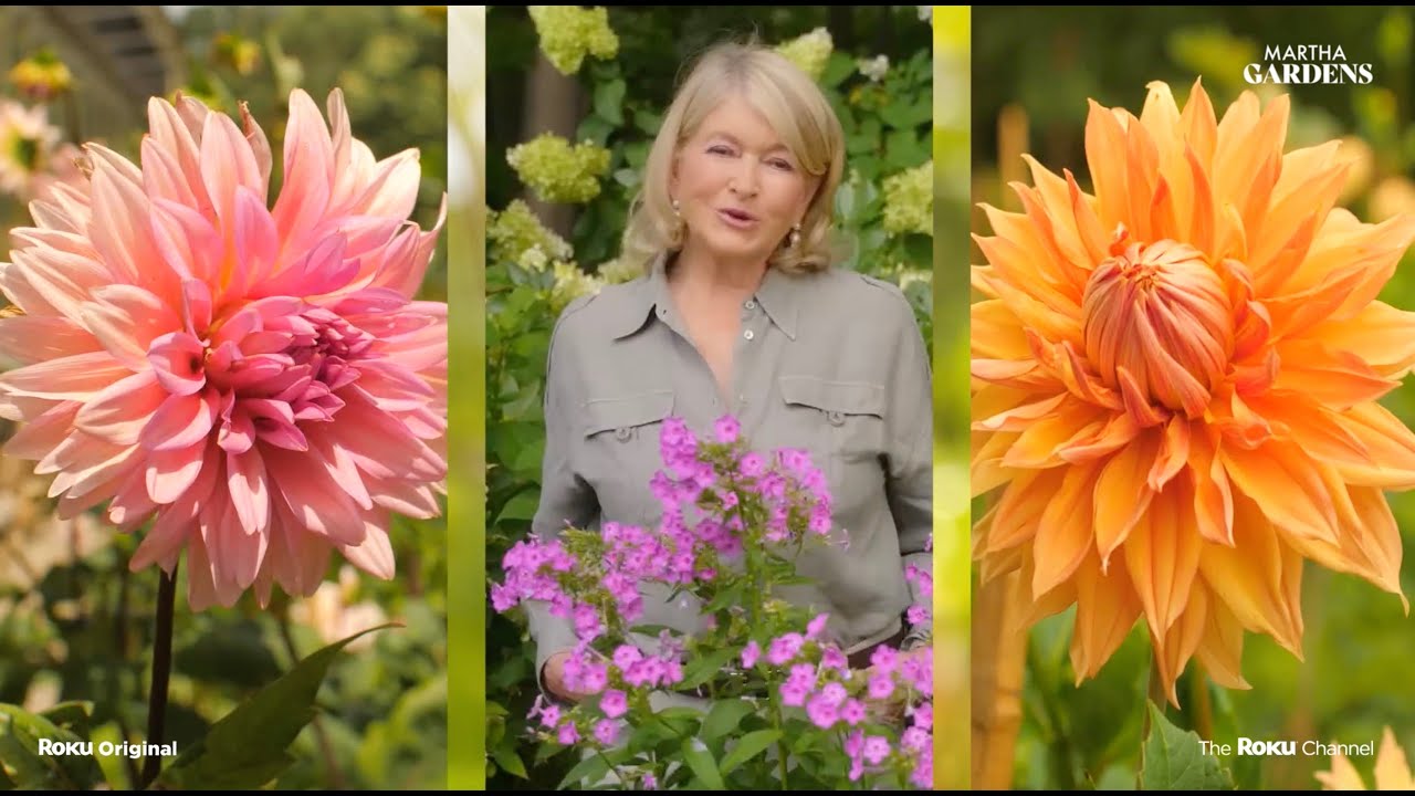 Martha Gardens | Official Trailer | The Roku Channel
