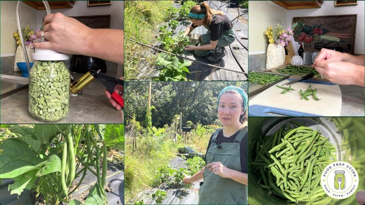 A Call to Prepare | Drying Green Beans