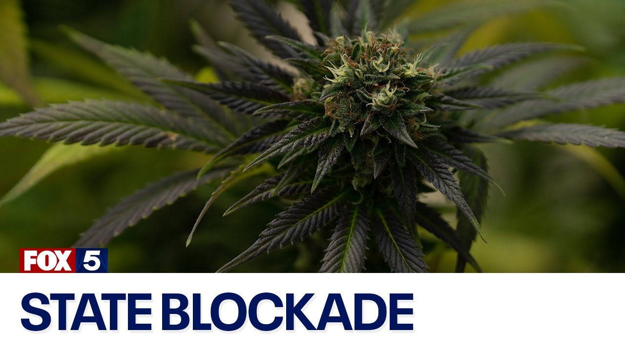 Challenges with opening cannabis businesses
