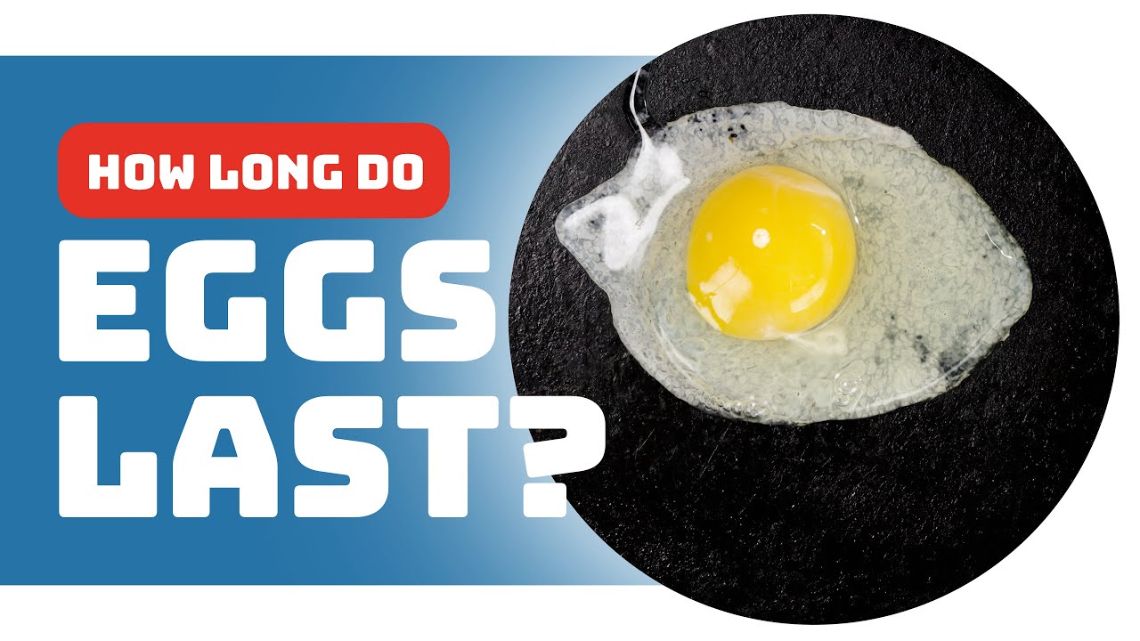 The Truth About Egg Freshness: How Long Do Eggs Last?
