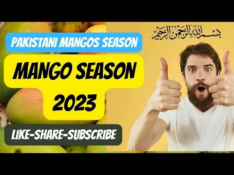 Exploring the Vibrant World of Pakistani Mangoes! 🥭🇵🇰| famous Pakistani mangos | Mango season 2023