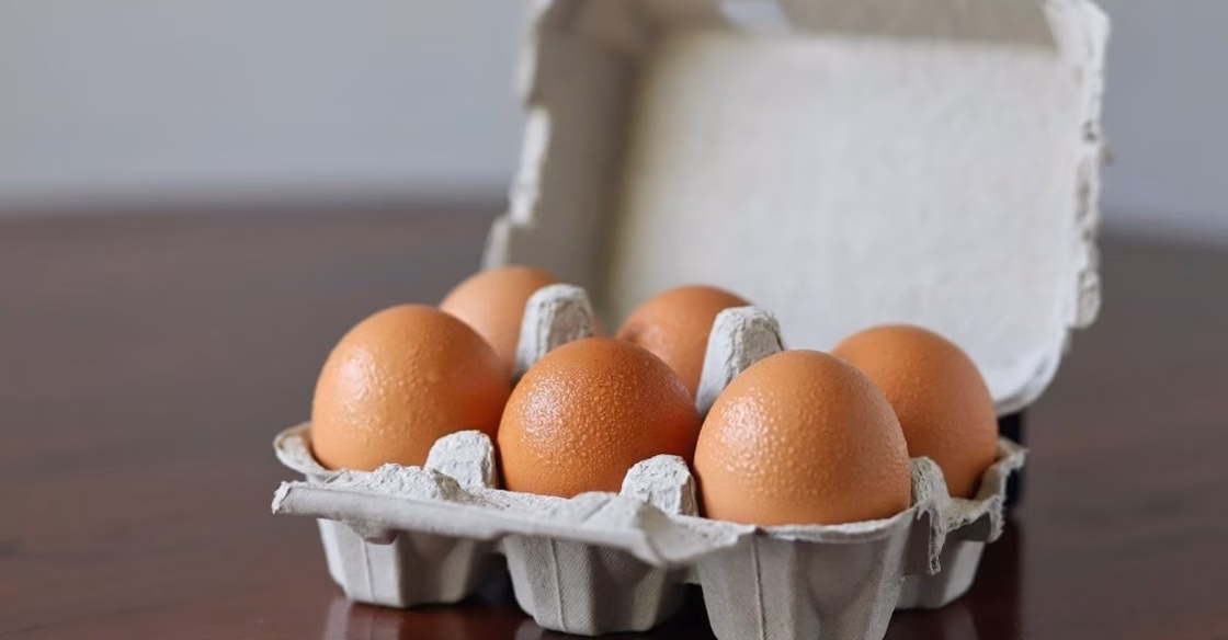 Decoding Egg Carton Labels: What They Really Mean and What’s Just Marketing