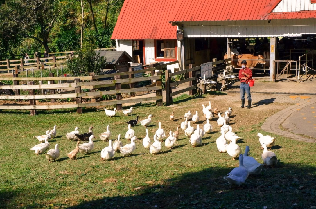 The Farm Fresh Network Delivers Locally Grown Goodness to Texas Classrooms