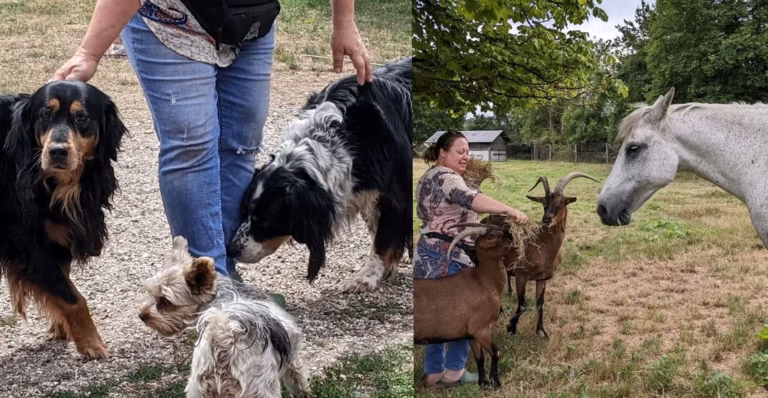 Experience Goat Yoga and Discover Farm-Fresh Treasures at The Grazing Ground
